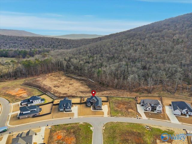 8098 Goose Ridge Drive, Owens Cross Roads, AL 35763