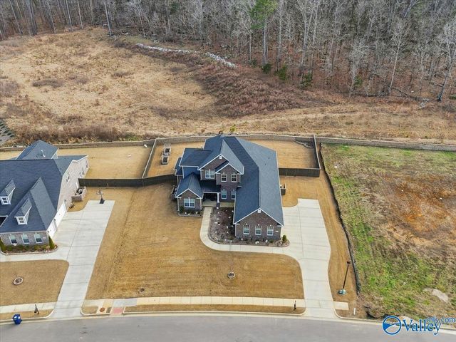8098 Goose Ridge Drive, Owens Cross Roads, AL 35763