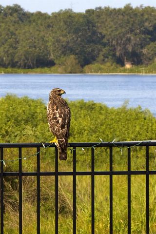 1925 DOCKSIDE DRIVE, Valrico, FL 33594