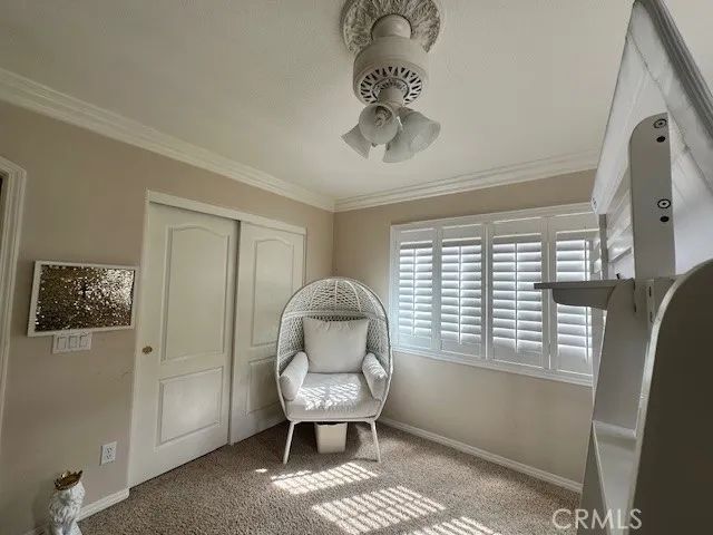 23422 Camino Terraza, Corona, CA 92883