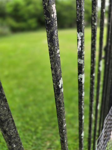 12018 Mckinney Falls Lane, Sugar Land, TX 77498