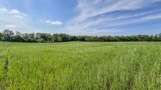 0 Sturgeon Creek Road, Cedar Hill, TN 37032
