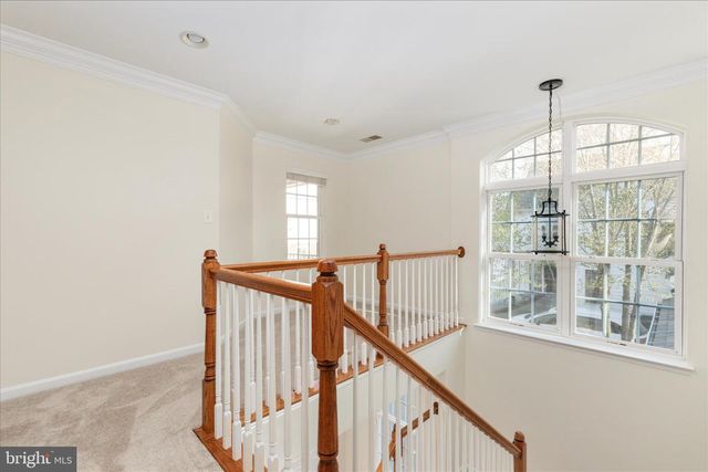 13583 ELYSIAN DR, Leesburg, VA 20176