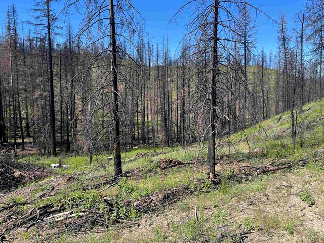 40114 N Jackson Rd, Elk, WA 99009
