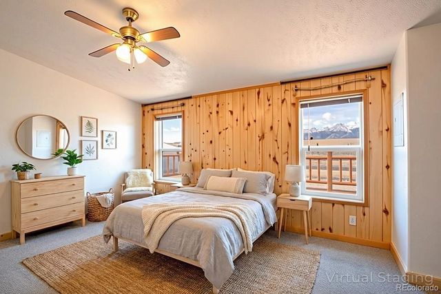 28829 Castle Rock Circle, Buena Vista, CO 81211