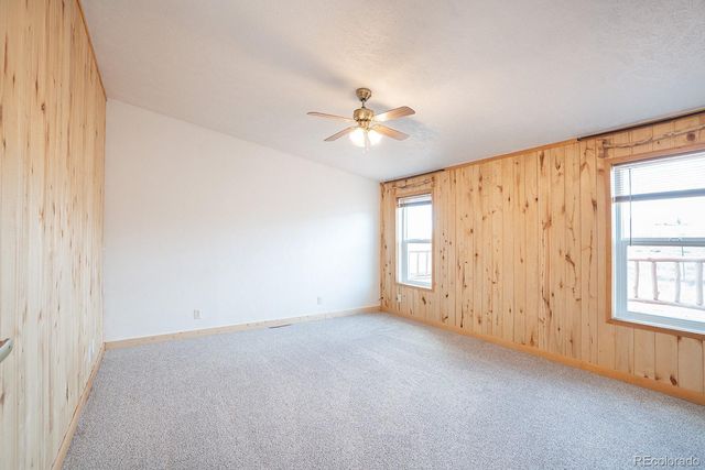 28829 Castle Rock Circle, Buena Vista, CO 81211