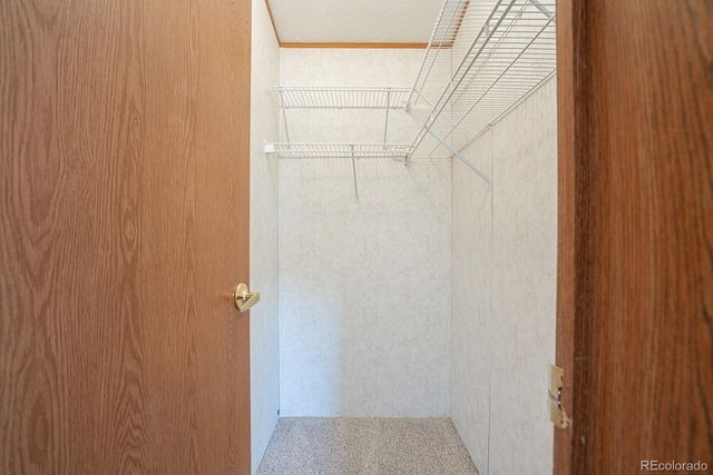 28829 Castle Rock Circle, Buena Vista, CO 81211