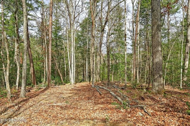 523 Ferry Bend Tr, Crossville, TN 38571