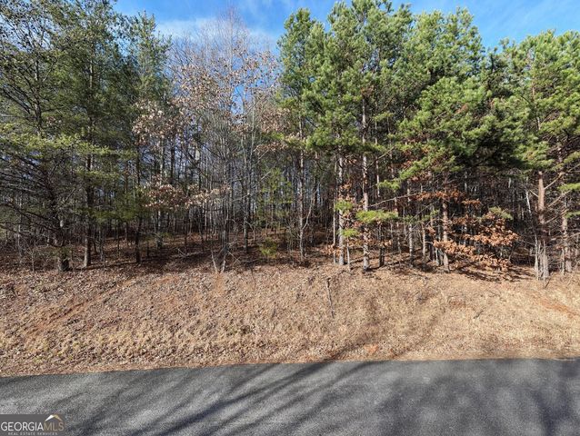 41 Hidden Fields Road, Hiawassee, GA 30546