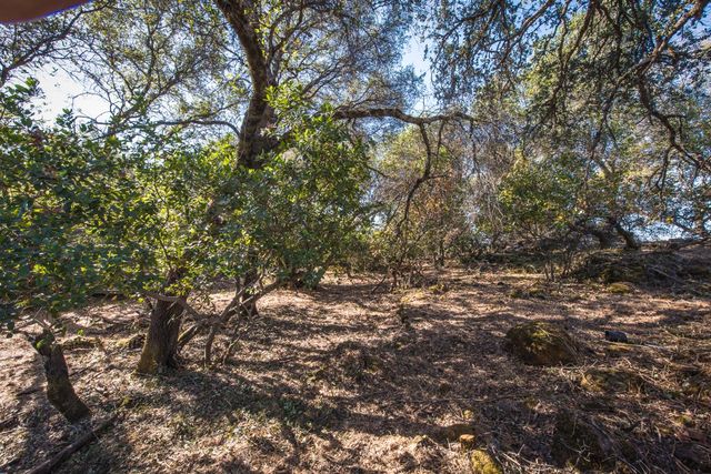 4351 Rossler Rd, Placerville, CA 95667