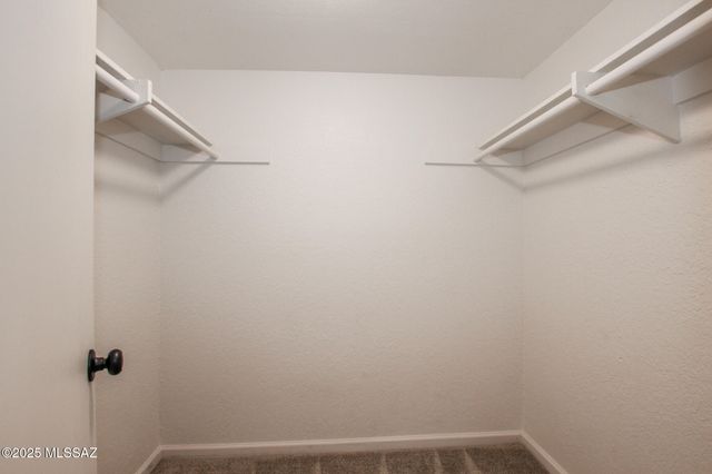 828 S Langley Ave Unit 101, Tucson, AZ 85710