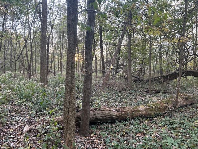 9999 Aberdeen Road, Frankfort, IL 60423