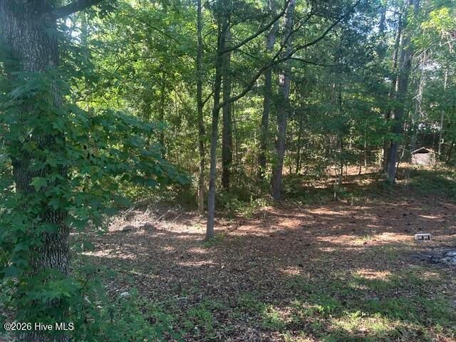 843 Giles Place NE, Leland, NC 28451
