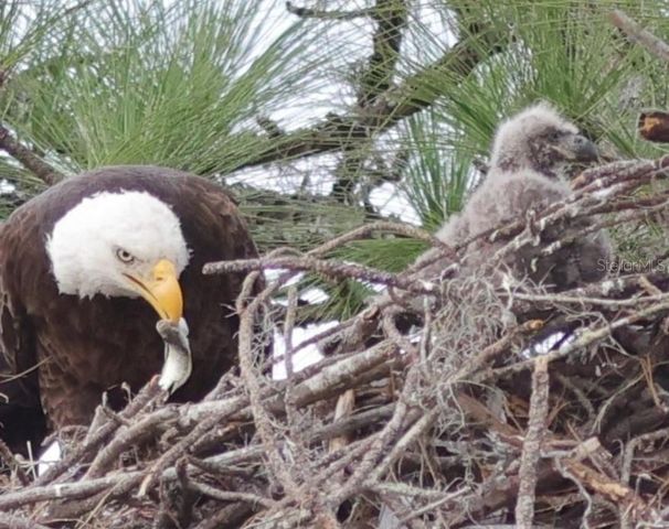 1397 EAGLE RIDGE DRIVE, The Villages, FL 32162