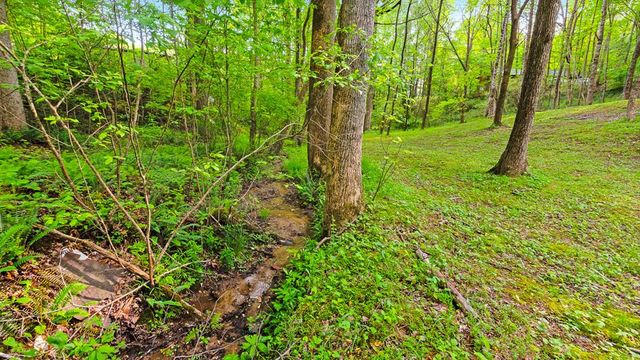 118 Ringtail Run, Murphy, NC 28906