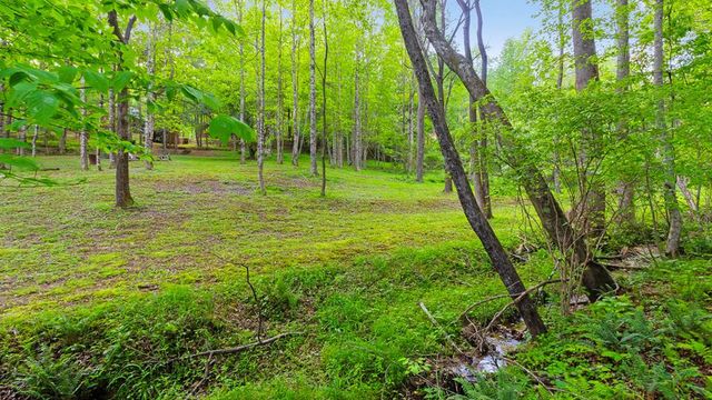 118 Ringtail Run, Murphy, NC 28906