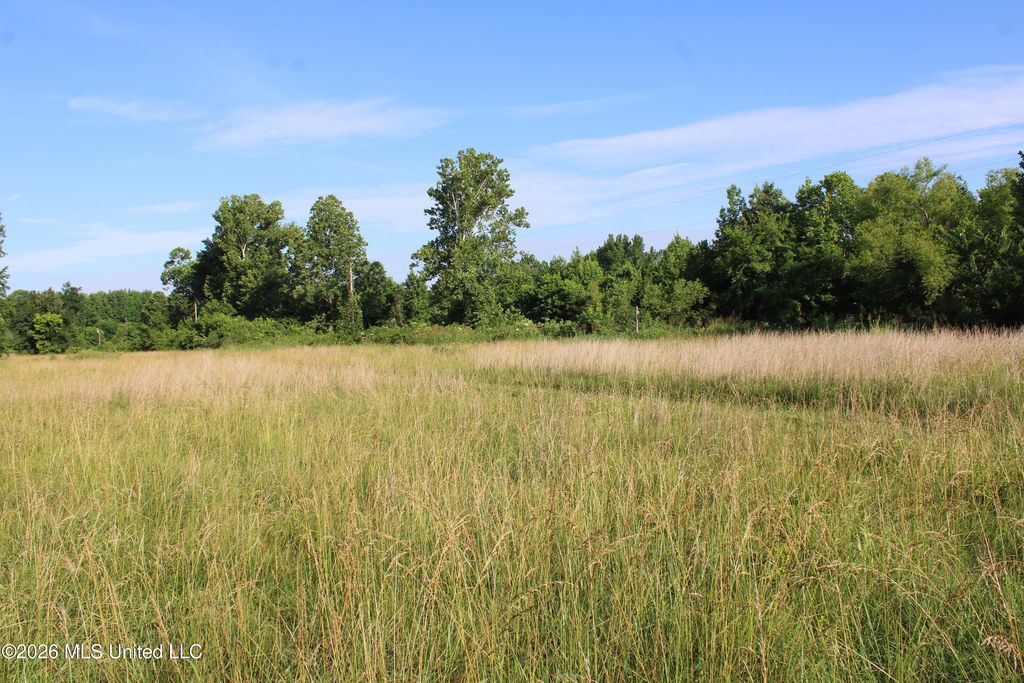 400 Memphis Street, Hernando, MS 38632 — photo 4