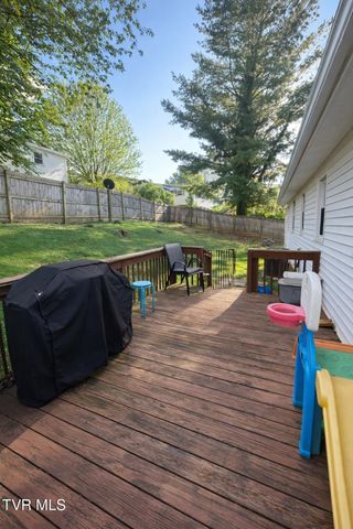 230 Madison Street, Abingdon, VA 24210
