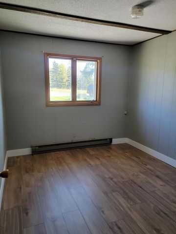 101 Pine Court, Lake Twp, MN 56763