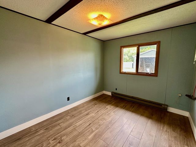 101 Pine Court, Lake Twp, MN 56763