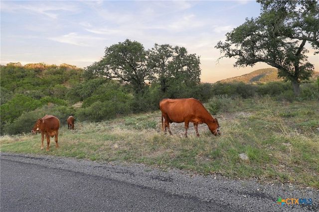100 Morgan Cove, Burnet, TX 78611