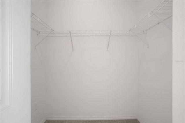 222 BLACKSTONE CREEK ROAD, Groveland, FL 34736