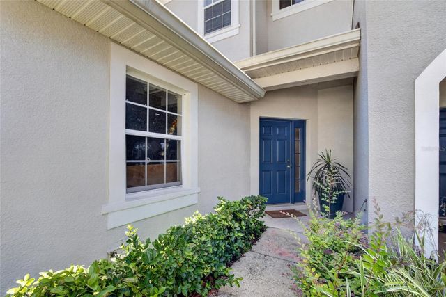 19262 STONE HEDGE DRIVE, Tampa, FL 33647