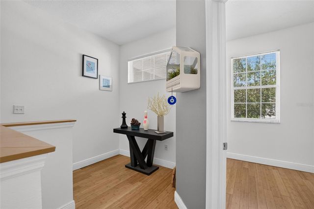 19262 STONE HEDGE DRIVE, Tampa, FL 33647