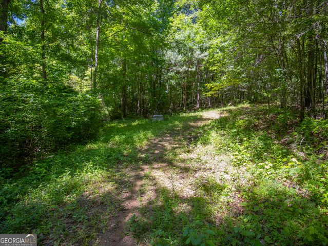15.74 ACRES Wallace Gray Road, Newnan, GA 30263