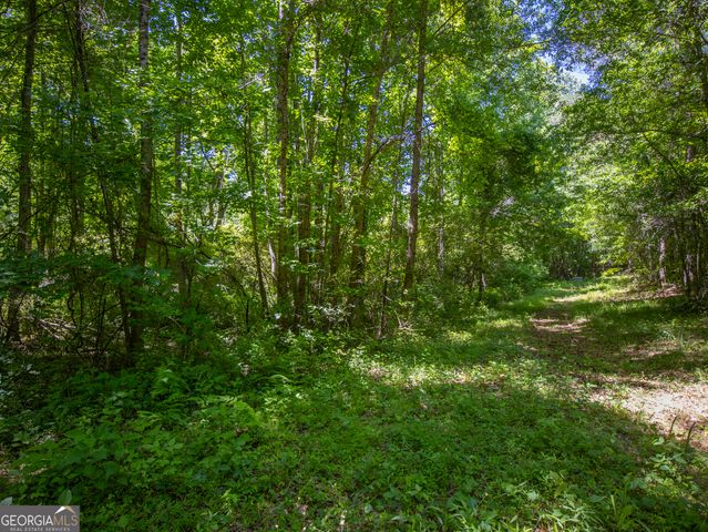 15.74 ACRES Wallace Gray Road, Newnan, GA 30263