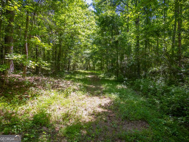 15.74 ACRES Wallace Gray Road, Newnan, GA 30263