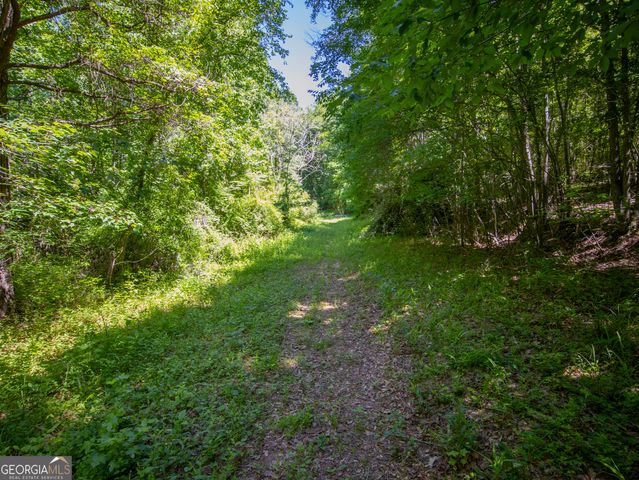 15.74 ACRES Wallace Gray Road, Newnan, GA 30263
