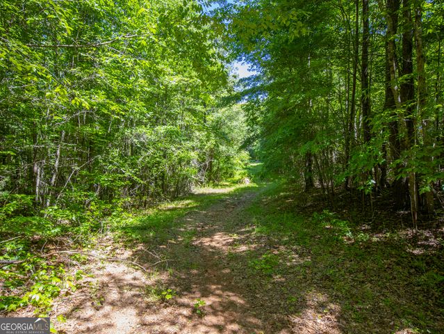 15.74 ACRES Wallace Gray Road, Newnan, GA 30263