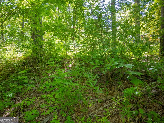 15.74 ACRES Wallace Gray Road, Newnan, GA 30263