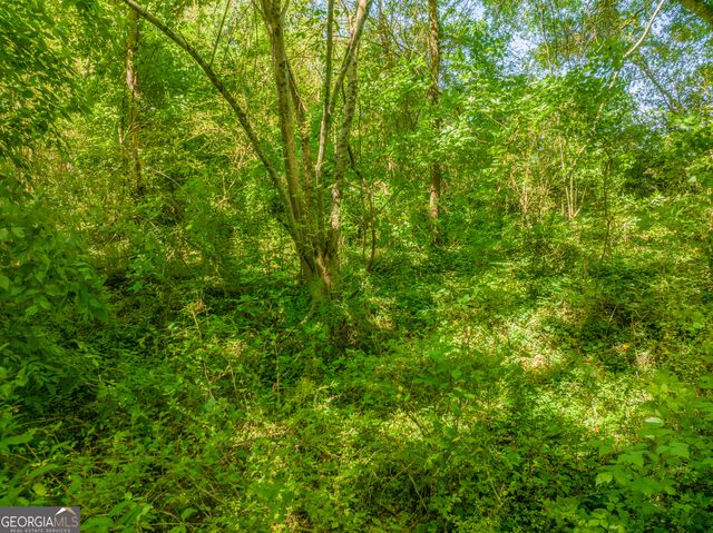 15.74 ACRES Wallace Gray Road, Newnan, GA 30263