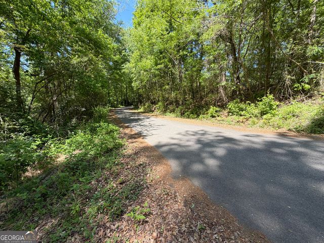 15.74 ACRES Wallace Gray Road, Newnan, GA 30263
