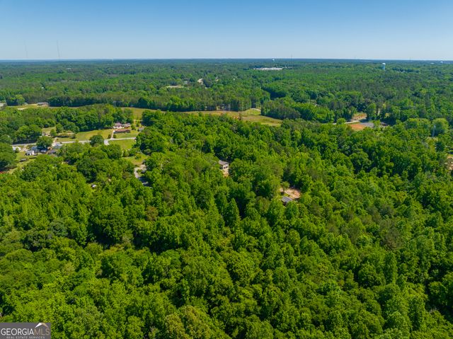 15.74 ACRES Wallace Gray Road, Newnan, GA 30263