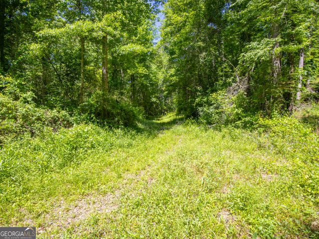 15.74 ACRES Wallace Gray Road, Newnan, GA 30263