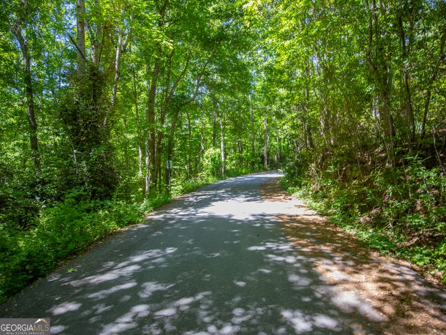 15.74 ACRES Wallace Gray Road, Newnan, GA 30263