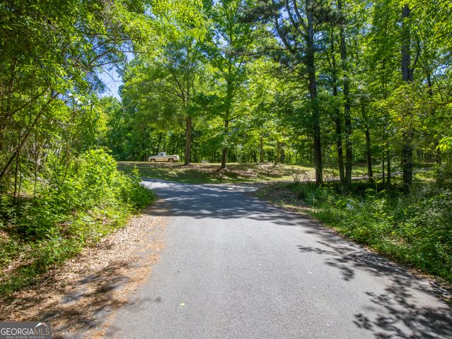 15.74 ACRES Wallace Gray Road, Newnan, GA 30263