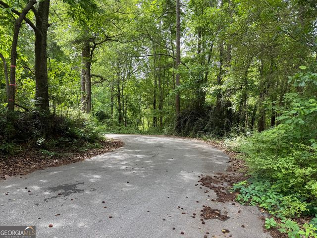 15.74 ACRES Wallace Gray Road, Newnan, GA 30263
