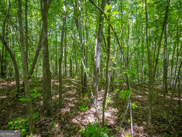 15.74 ACRES Wallace Gray Road, Newnan, GA 30263