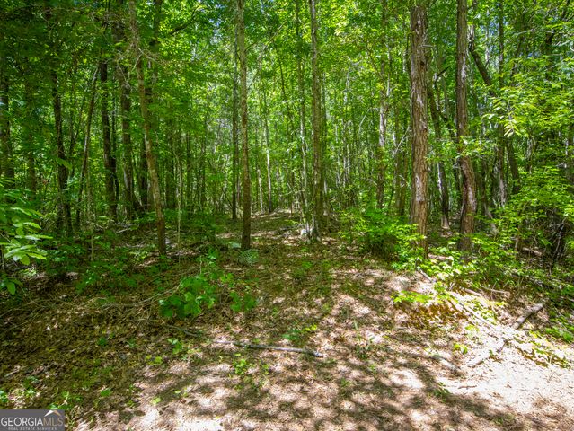 15.74 ACRES Wallace Gray Road, Newnan, GA 30263