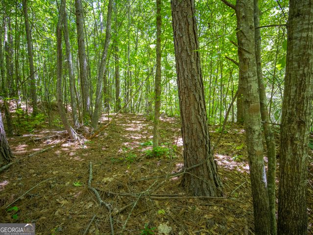 15.74 ACRES Wallace Gray Road, Newnan, GA 30263