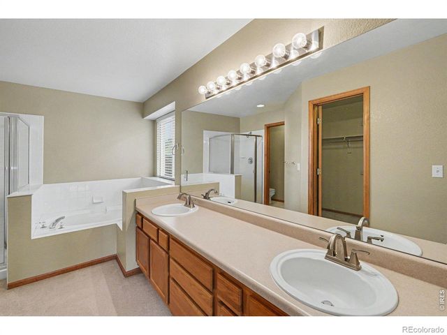 123 Rock Bridge Court, Windsor, CO 80550