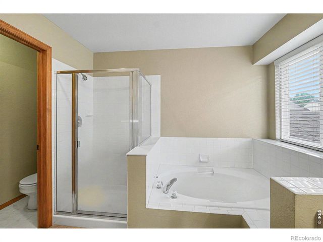 123 Rock Bridge Court, Windsor, CO 80550
