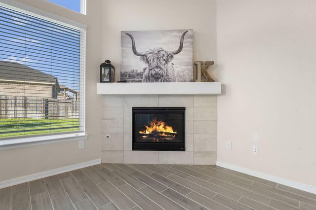 20118 Clear Ridge Lane, Montgomery, TX 77316