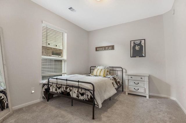 20118 Clear Ridge Lane, Montgomery, TX 77316