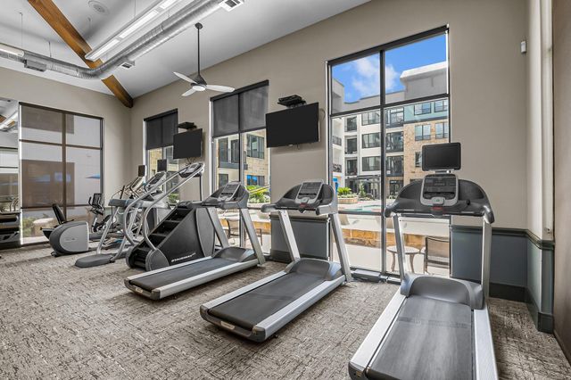 1616 W Dallas Street 163, Houston, TX 77019