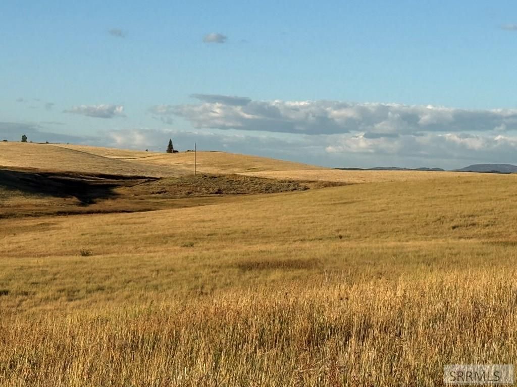 Image 10 of property listing at TBD Woodrush Road, Felt, ID 83422